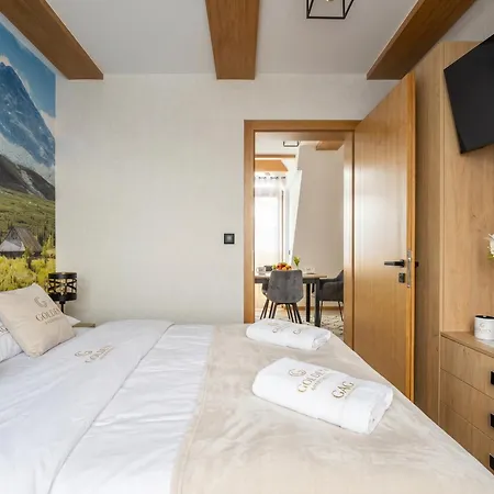 Apartment Golden - Tatra View - Ksiezycowe - 24i 2-2 *